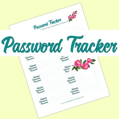 Password Tracker - Organizer
